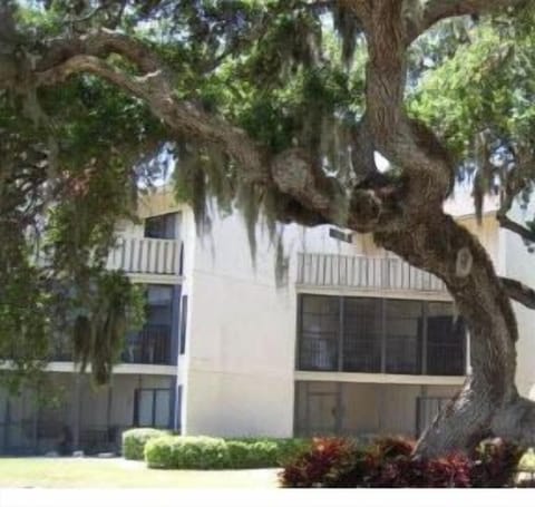 Lots of huge oaks on property!