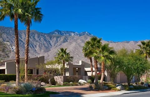 Stunning Stan Sackley Desert Contemporary