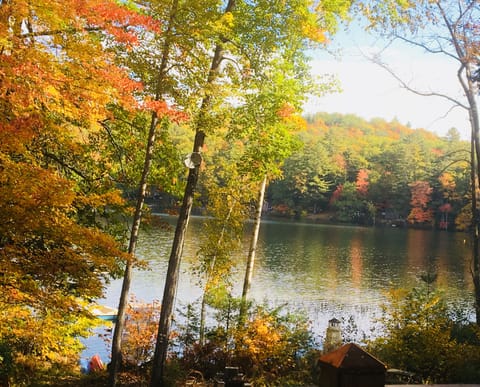 It's fall foliage time!   This is your view from the Kiwi Lodge deck
