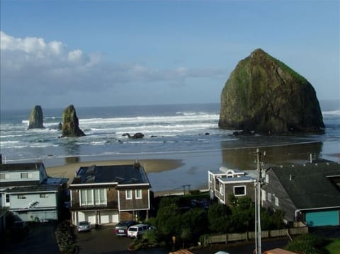 View from the living room