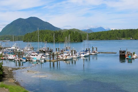 View of Tofino's Inner Harbour and Meares Island