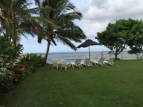Backyard facing the ocean