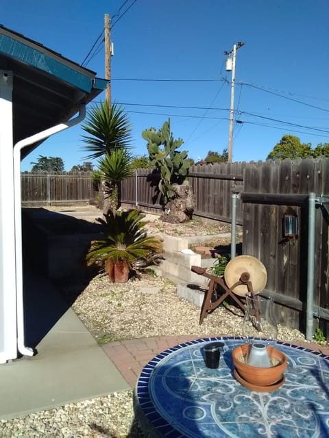 side yard continued