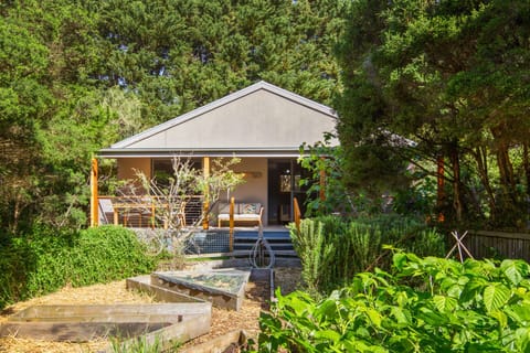 Frog Cottage guesthouse and garden