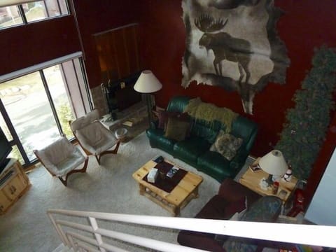 Picture taken from upstairs, 18 ft ceiling and 2 sets of large windows.