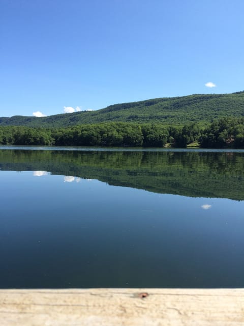 Summer day on the dock