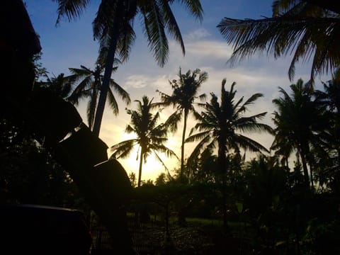 40mbps Ubud Private Wooden Cabin 