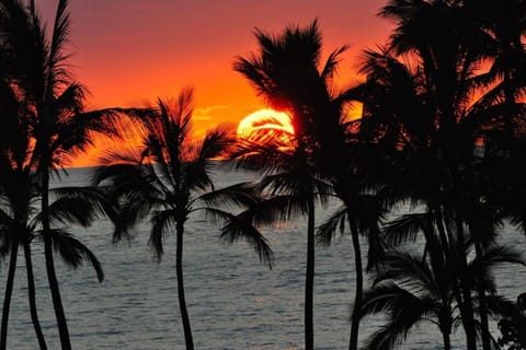 The Palms at Wailea, #207, Ground Fl. Corner condo, FULL. AC, FREE WIFI 400+