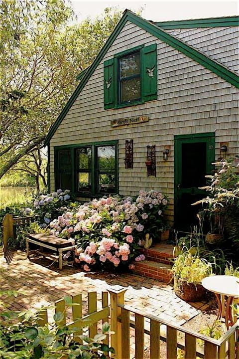 Patio and kitchen entrance of House