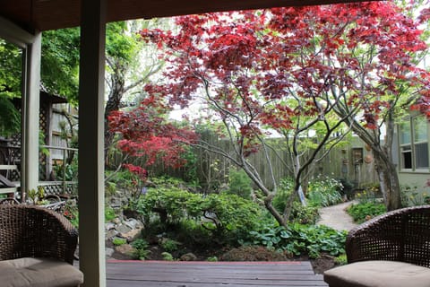 Secluded Backyard Garden
