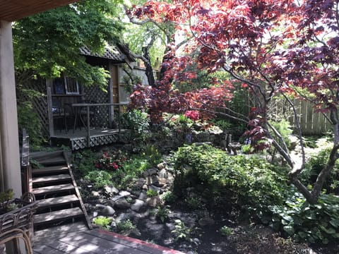peaceful backyard gazebo