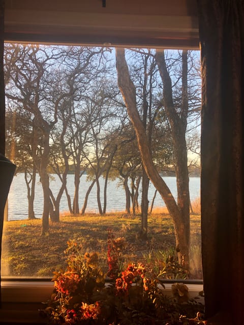 View out living room window.