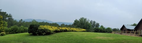 flat front yard with long range mountain view