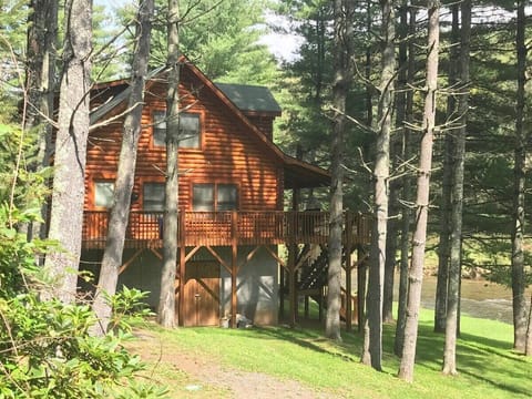 Picture Perfect, Riverfront Cabin