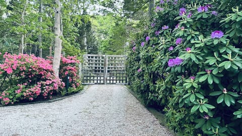 8' electric gate, driveway