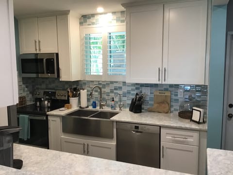 New sink, faucet to dispense filtered water and dishwasher.