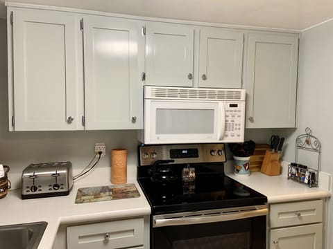 Kitchen has dishwasher, electric stove, microwave, fridge,ice maker,large pantry