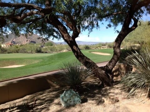 Golf Course View from the Patio