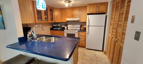 Stylish kitchen with cobalt blue granite countertop