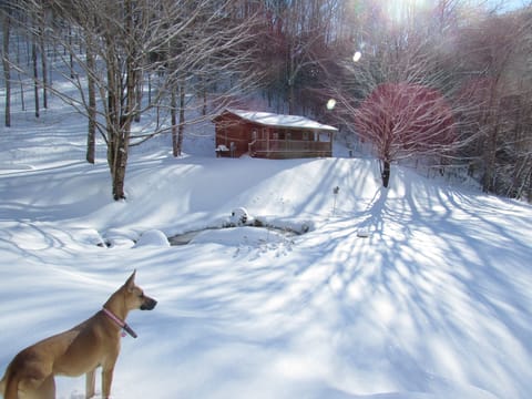 Winter is a magical time at the Stardance cabin