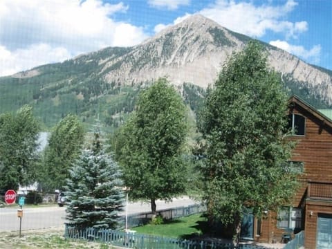 View from Living Room