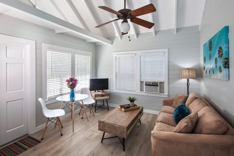 Vaulted ceiling and lots of natural light in the living room.