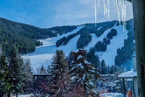 View of Bald Mt from Deck
