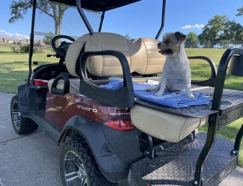Complimentary Golf Cart