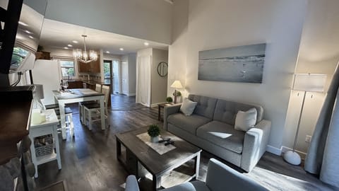 Living room with pull out queen couch.