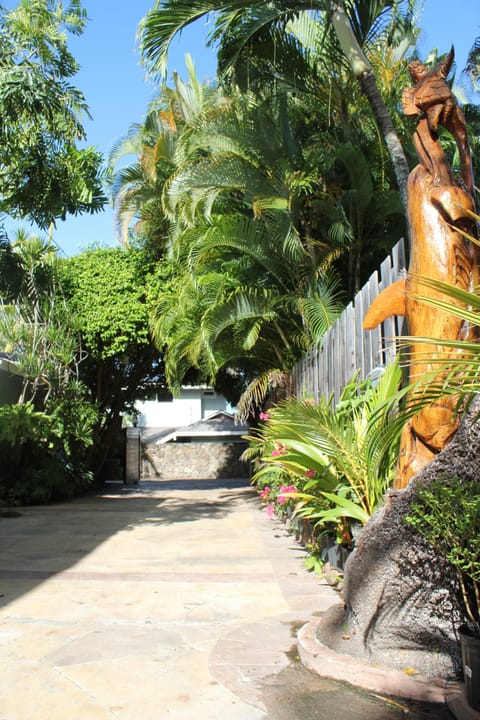 Kailua Gardens Driveway