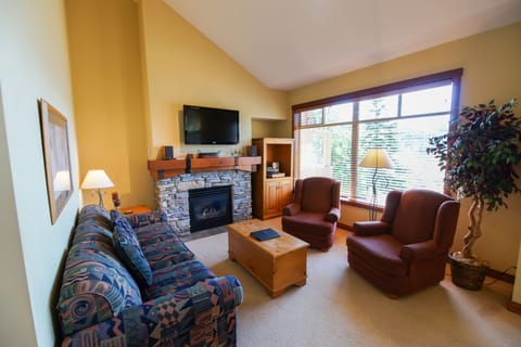Living area with fireplace and TV