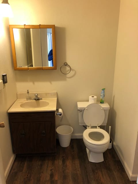 Upstairs loft bathroom 