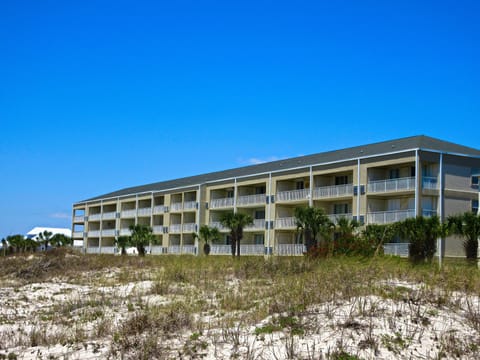 building view from the beach