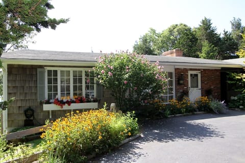 Lovely flowers and garden as you approach the house