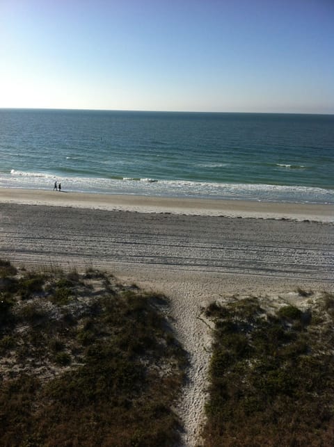 The beach directly behind our building