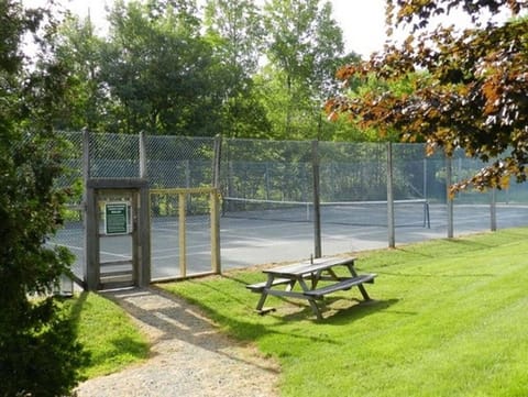 Tennis Court w/ rackets and balls in the unit
