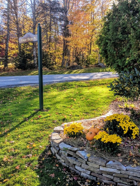 Welcome to Polar Bear North!