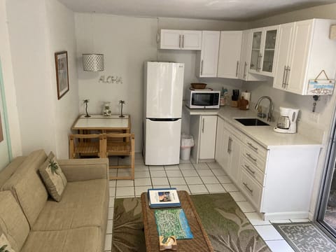 Palm Villa living space and kitchen