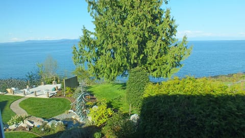 Suite view from living room