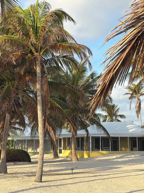 View of the bungalow from the beach. Ours is the yellow one.