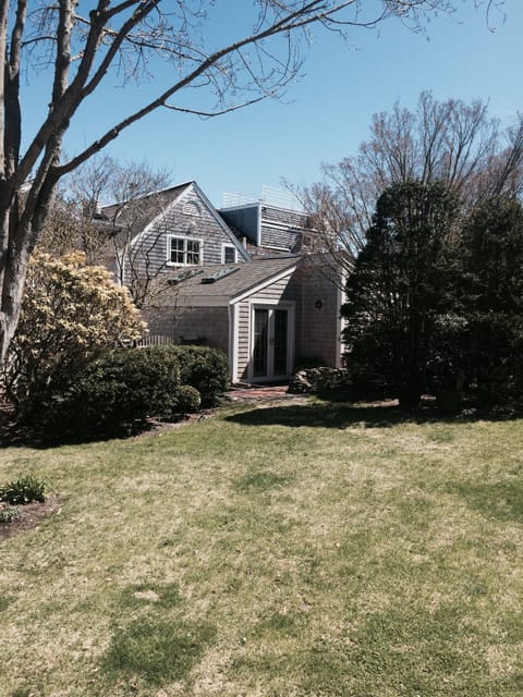 Spring has arrived '15, backyard facing the house