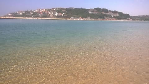 Lagoa junto à casa