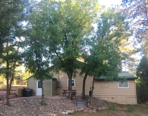 Peaceful & secluded cabin nestled in the shaded pines
