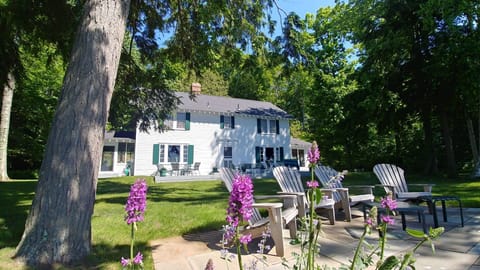 Patio and front lawn