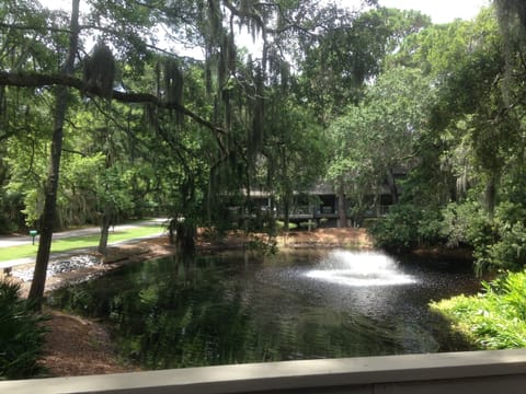 Relaxing lagoon view from the villa! 7 min walk to the beach - 5min to golf