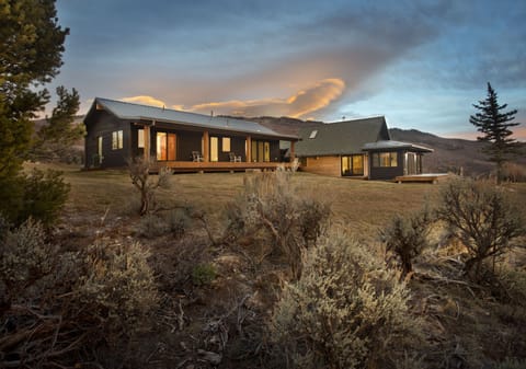 coming up the driveway