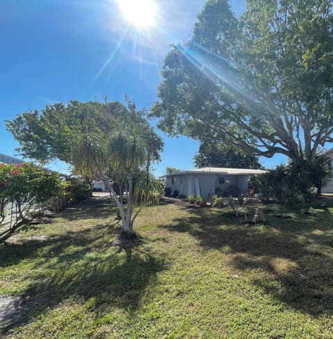 photo taken 12/8/24. View from the northeast corner of the backyard.