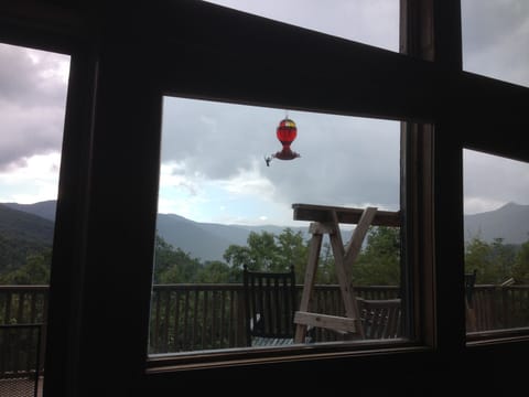 Hummingbird Feeder