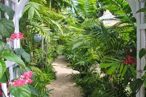 The path to the beach gate is right out from your private garden...