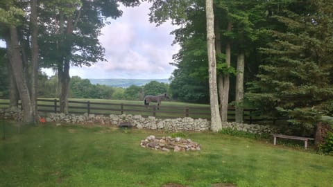One of the pastures and the view from the top of the hill